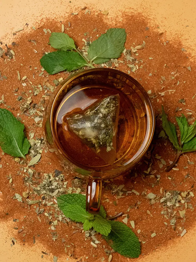 Shop Secondary Image